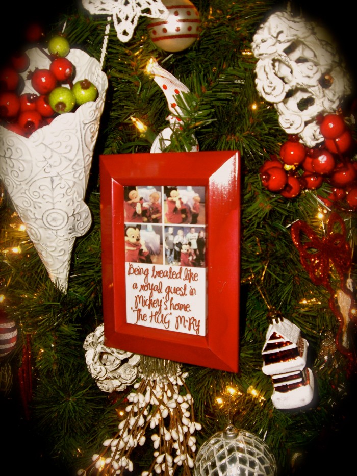 {framed memories on the tree}