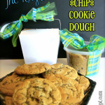 {seriously} The Very Best Chocolate Chip Cookie Dough!