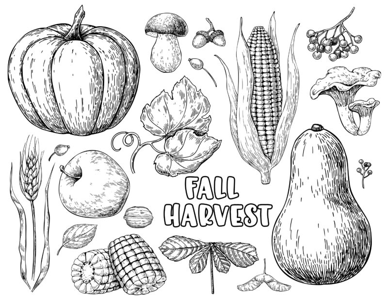 New Fall Coloring Pages! Let's Give Thanks. - inkhappi